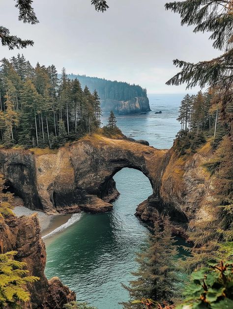 📍Natural Bridges, Brookings Oregon 🇺🇸 Brookings Oregon, Spring Break Trips, West Coast Road Trip, Adventure Travel Explore, Pretty Landscapes, Oregon Travel, Travel Locations, Olympic National Park, Dream Travel Destinations