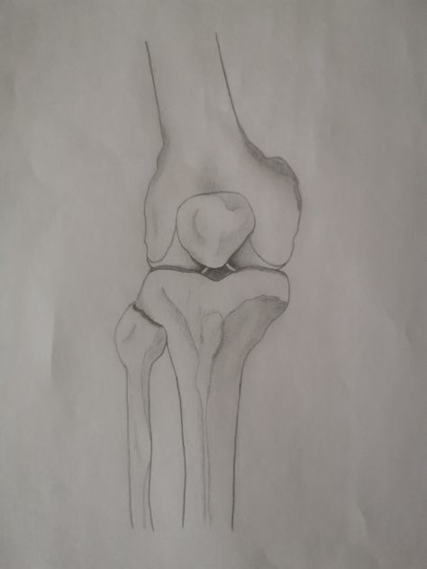 Artwork of a human knee joint drawn with a pencil Knee Joints Drawing, Joints Drawing, Knee Drawing, Human Knee, Body Joints, Anatomy Drawing, A Pencil, Study Planner, Pencil Art