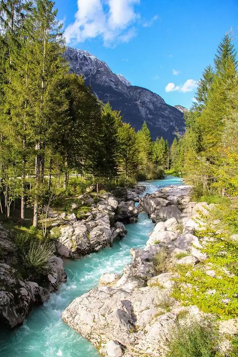 The Small Soča Gorge European Bucket List, Flowering Cherry Tree, Cycling Touring, Over The River, Cherry Tree, European Summer, Slovenia, Us Travel, Hiking Trails