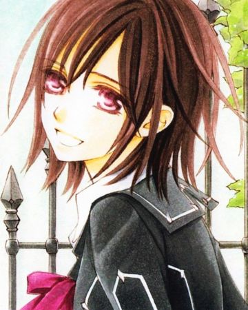 Yuki Cross, Yuki And Kaname, Yuki And Zero, Vampire Knight Zero, Vampire Knight Kaname, Vampire Knight Yuki, Vampire Knight Manga, Yuki Kuran, Matsuri Hino