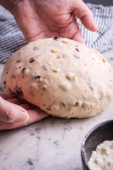 This Costco-inspired cranberry walnut bread recipe makes a plump, chewy, subtly sweet yeast bread within a few hours of mixing. Beginner bread bakers will love the easy step-by-step instructions (with photos)! Breakfast Yeast Bread Recipes, Cranberry And Walnut Bread, Bread Machine Cranberry Walnut Bread, Yeasted Bread Recipe, Sweet Breakfast Bread Recipes, Cranberry Almond Bread, Yeast Breads Recipes, Walnut Cranberry Bread Recipe, Walnut Bread Recipe Simple