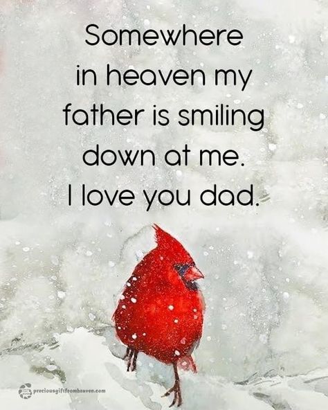 Cardinal Quotes Heaven, Missing Someone In Heaven Quotes, Someone In Heaven Quotes, Dads In Heaven, Cardinal Quotes, Dad Memorial Quotes, Quotes Heaven, Missing Someone In Heaven, Miss My Mom Quotes