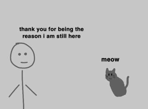 I Love My Cats, Me And My Cat, Cat Love Drawing, Cat Template, Self Deprecating Humor, Silly Cats Pictures, Coping Mechanisms, Life Motivation, Fb Memes