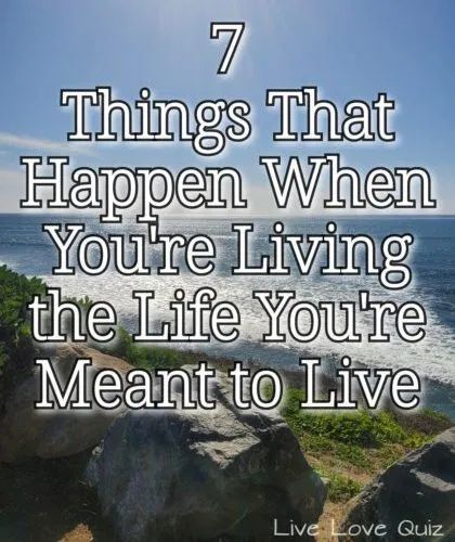 Love Quiz, Living The Life, Feeling Excited, Good Intentions, Life Group, No Matter What Happens, Best Blogs, Life Well Lived, Do Your Best