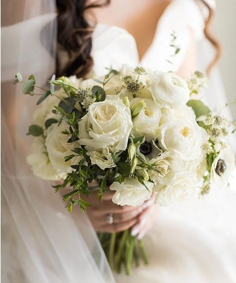 Bouquets — Forget Me Knot | Event Florals & Rentals Wedding Buqet Flowers White, Bride Bouquets White, White Rose Bridal Bouquet, Elegant Bridal Bouquets, Event Florals, Rose Bridal Bouquet, Wedding Colours, Junior Prom, Bridal Bouquet Flowers