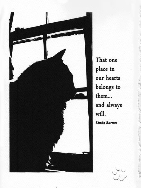 Cat Died, Cat Love Quotes, Cat Sympathy, Pet Sympathy Cards, Loss Of Pet, Cat Loss, House Pets, Dog Sympathy, I Am So Sorry