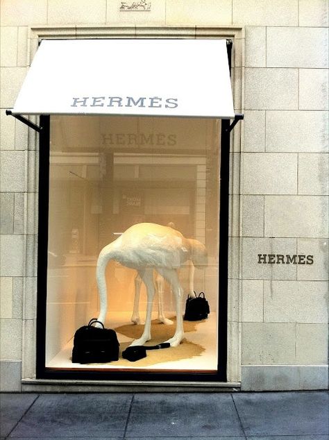 Hermes Window, Decoration Vitrine, Store Window Display, Window Display Design, Retail Windows, Art Appliqué, Design Presentation, Store Windows, Store Window