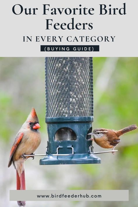 Looking to elevate your birdwatching experience? Discover the top 12 best bird feeders with our buying guide, featuring carefully selected, quality feeders perfect for both beginners and experienced birdwatching enthusiasts. We cover all the categories of bird feeders to give you the most diverse selection to find the perfect fit for the food you want to offer in your yard, or help you diversify into new categories! Natural Bird Feeders, Tree Forts, Caged Bird Feeders, Finch Feeders, Best Bird Feeders, Feeding Birds, Squirrel Proof Bird Feeders, Suet Feeder, Wild Bird Feeders