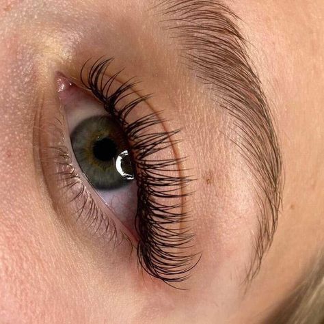 Lash Looks, Lash Extensions, Eyelash Extensions, New Shop, Eyelashes, The One, Lashes, Shop My