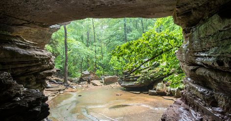 This Lost Arkansas Trail Belongs On Your Bucket List Ponca Arkansas, Arkansas Road Trip, Ozark National Forest, Arkansas Travel, Getaway Cabins, Nature Trail, Hot Springs, Awe Inspiring, Natural Wonders