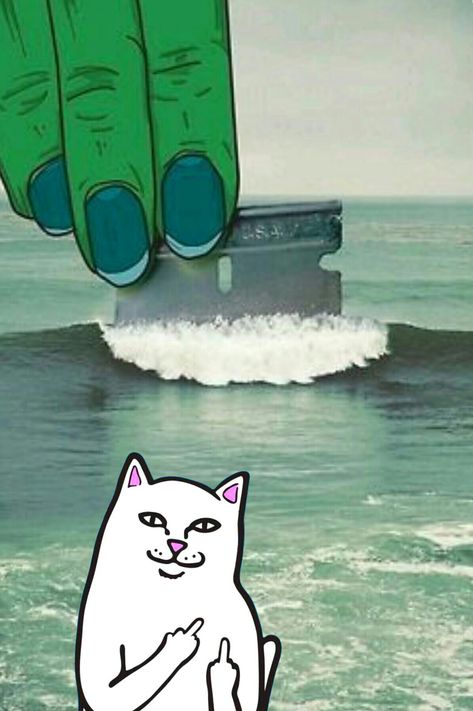 Ripndip iphone wallpaper #ripndip #middle #finger #cat #wallpaper #iphone Ripndip Wallpaper, Art Trippy, Acid Art, Psy Art, Dope Art, Trippy Art, Illustration Inspiration, Pics Art, Travel Art