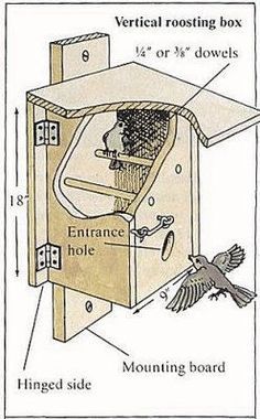 Bluebird House Plans, Homemade Bird Houses, Bird Houses Ideas Diy, Bluebird House, Bird House Feeder, Bird House Plans, Winter Birds, Unique Bird Houses, Bird Aviary