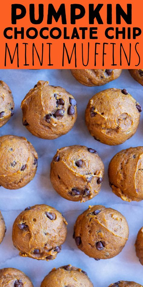 These Mini Pumpkin Chocolate Chip Muffins are made using just one bowl and they are perfect for snacking! This recipe makes about 48 mini muffins and they can easily be stored in the refrigerator, or frozen for later. Pumpkin puree is loaded with nutrients, making these pumpkin muffins a healthier choice for you and your kids. #pumpkinmuffins #minimuffins #healthysnacks #mealprep #snacksforkids #onebowl Mini Pumpkin Chocolate Chip Muffins, Pumpkin Chocolate Chip Mini Muffins, Pumpkin Mini Muffins, Pumpkin Chocolate Chip Pancakes, Mini Pumpkin Muffins, Baking Fails, Mini Chocolate Chip Muffins, Vegan Egg Substitute, Peanut Butter Muffins