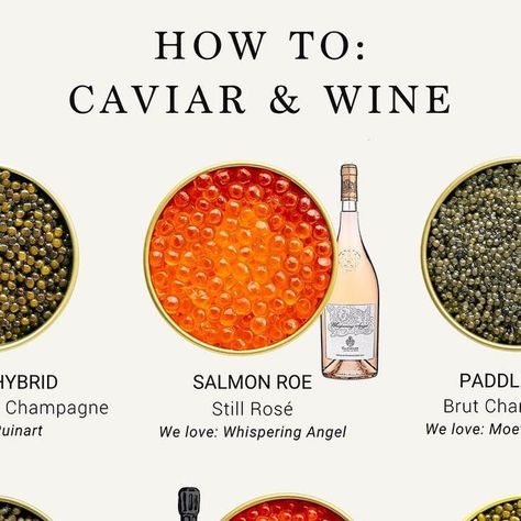 The Caviar Co. on Instagram: "Sip & Savor. Try some of our tried and true caviar and wine pairings! These wine picks balance and highlight the nuance of their complementary pearls. 🍷🐟  #caviarandwine #caviar #wine #winepairing #caviarpairings #caviarlover #caviarlovers #wineenthusiast #winelover #winelovers #foodie #foodstagram #foodinsta #foodies" Caviar Pairings, Wine Caviar, Alcoholic Caviar, Caviar And Champagne, Types Of Caviar, Martini Party, Caviar Recipes, Salmon Roe, Wine Pairings