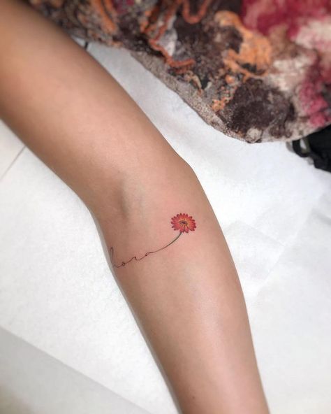 Fine Line Gerbera Tattoo, Gerber Daisy Tattoo, Gerbera Daisy Tattoo, Tatu Ideas, Eve Tattoo, Dandelion Tattoo Design, Clover Tattoo, Tattoos To Cover Scars, Clover Tattoos