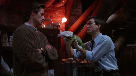 Dan Cain, Herbert West, Jeffrey Combs, Science Movies, Re Animator, Weird Science, Sweet Soul, Visual Media, Film Art