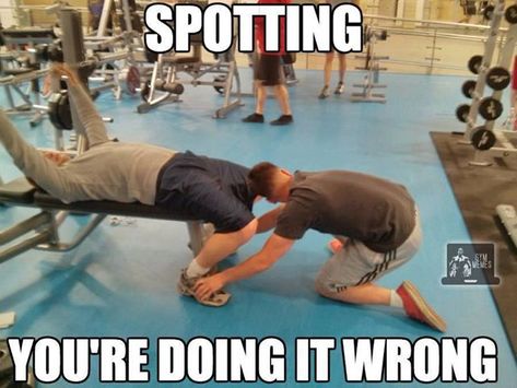 Gym Humor Hilarious, Exercise Funny, Gym Jokes, Bodybuilding Memes, Bodybuilding Humor, Gym Humour, Gym Memes Funny, Diet Humor, Youre Doing It Wrong