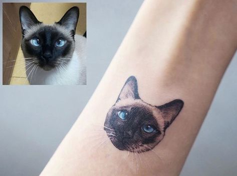 Siamese Tattoo Cat, Siamese Tattoo, Siamese Cat Tattoo, Siamese Cat Tattoos, Cat Paw Print Tattoo, Geometric Cat Tattoo, Cat Eye Tattoos, Tattoo Gato, Cat Outline Tattoo