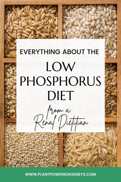 The Low Phosphorus Diet: What You Need to Know from a Renal Dietitian Low Phosphorus Recipes, Kidney Healing, Low Phosphorus Foods, Potassium Recipes, Healing Lifestyle, Kidney Healthy Foods, Ckd Recipes, Kidney Diet Recipes, Kidney Friendly Recipes Renal Diet