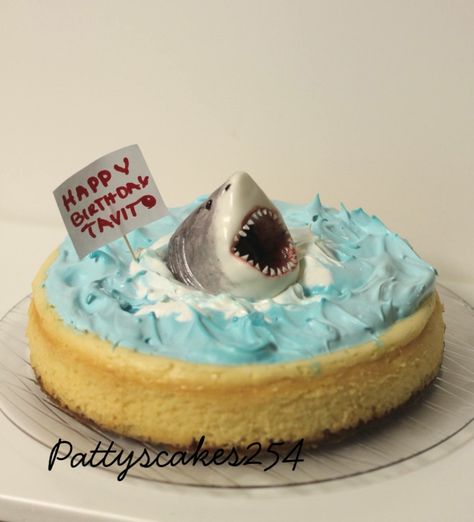 Shark cheesecake Shark Cheesecake, Week Snacks, Shark Birthday Cake, Birthday Cake For Women, Cake For Women, Birthday Cheesecake, Shark Stuff, Shark Birthday Cakes, Shark Cake