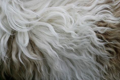 #WhiteHair: free_high_res_texture_116 by bittbox via Flickr https://buff.ly/2V0gNaM White Curls Aesthetic, Janet Snakehole, Snow Hair, Ororo Munroe, Long White Hair, Hair White, Pietro Maximoff, Super Danganronpa, Kushina Uzumaki