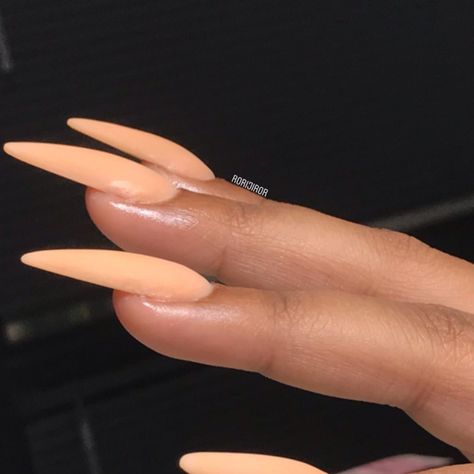 Apex Of Nail, High Apex Nails, Acrylic Nails Side View, Apex On Acrylic Nails, Nail Apex Side View, Apex Nails, Round Nails, Strong Nails, Chic Nails