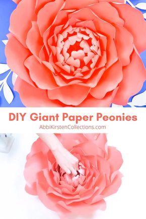 How to Make Large Paper Peonies: Follow this step by step paper flower tutorial to learn how to create beautiful paper peony flowers. How To Make Peony Flowers, Giant Peony Paper Flower Diy, How To Make Large Paper Flowers, How To Make Paper Flowers Step By Step, Paper Peony Diy, Large Paper Flower Tutorial, Peony Paper Flower, Paper Peony, Paper Flower Patterns