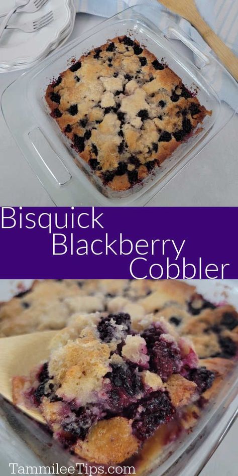 Easy Bisquick Blackberry Cobbler Recipe made with fresh blackberries, Bisquick baking mix, and a few pantry staples. This easy cobbler recipe is the perfect family dessert. So easy to make and tastes amazing. Dewberry Cobbler Recipe, Blackberry Cobbler Bisquick, Bisquick Cobbler, Bisquick Cobbler Recipes, Easy Cobbler Recipe, Bisquick Inspired Recipes, Cobbler With Bisquick, Blackberry Dessert Recipes, Easy Blackberry Cobbler