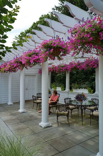 Petunia hanging baskets (2) | by KarlGercens.com GARDEN LECTURES Petunia Hanging Baskets, Backyard Fence Decor, Hanging Plants Outdoor, Patio Pergola, Building A Pergola, Pergola Design, Hanging Flower Baskets, Flower Pot Garden, Backyard Pergola