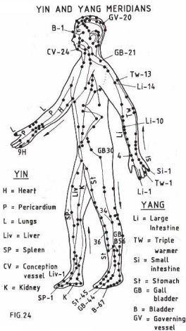 Punkty Spustowe, Shiatsu Massage Acupressure, Healing Art, Reflexology Massage, Shiatsu Massage, Michelle Lewin, Energy Medicine, Acupuncture Points, Acupressure Points