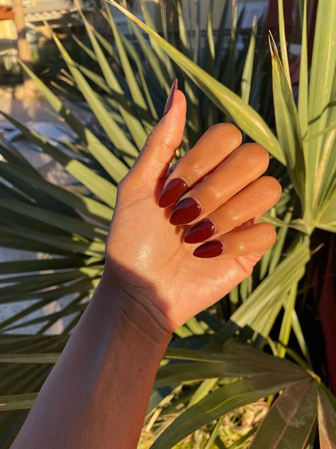 Almond Shape Maroon Nails, Burgundy Almond Nails Short, Almond Nails Solid Color Fall, Fall Red Almond Nails, Short Almond Burgundy Nails, Burgundy Nails Almond Shape, Almond Maroon Nails, Almond Nails Maroon, Almond Nails Dark Skin