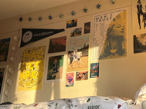 Moving Into Dorm Aesthetic, Common Room Dorm Decor, College Dorm Room Inspo Boho, Dorm Mood Lighting, Vinyl Dorm Decor, Colorado Room Aesthetic, Wall Decor College Dorm, Mount Holyoke College Dorm, Dorm Room With Posters