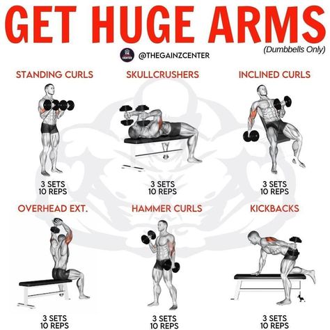 Bro Split, Bicep And Tricep Workout, Progressive Overload, Workout Gym Routine, Gym Workout Guide, Fit Aesthetic, Muscle Building Tips, Gym Workout Planner, Dumbell Workout