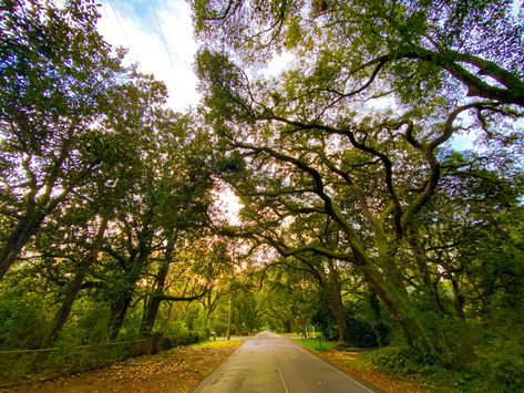 Island Town, Live Oak Trees, Rv Living Full Time, Beautiful Town, Free Camping, Historical Monuments, Sun Set, Orange Beach, Old Church