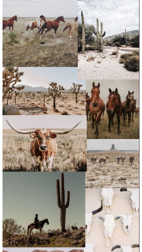 Pretty Country Wallpaper, Long Horn Wallpapers, Cowgirl Lock Screen Wallpaper, Western Asethic Wallpaper Iphone, Western Lock Screen Wallpaper Aesthetic, Neutral Western Wallpaper, Western Screensavers Vintage, Long Horn Wallpaper, Girly Western Wallpaper