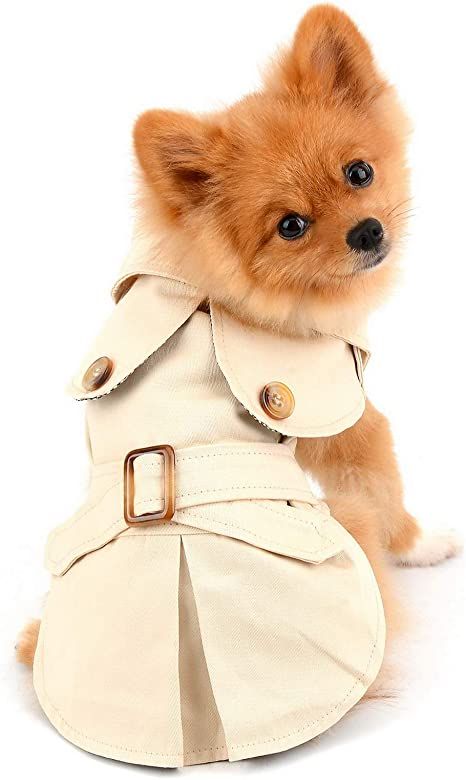 Amazon.com : PAIDEFUL Pet Trench Coat for Small Dogs Girl Boy Windproof Fashion Western Jacket Belted Outerwear Autumn Winter Dog Clothes for Puppy Chihuahua Yorkie,Khaki,Size S : Pet Supplies Girl Dog Clothes, Puppy Chihuahua, Toy Dog Breeds, Cute Dog Clothes, Dog Winter Clothes, Dog Winter Coat, Winter Fashion Coats, Western Jacket, Cat Fashion