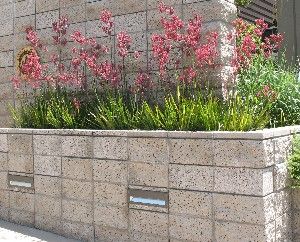 Plants For Retaining Walls, Small Garden Retaining Wall, Deer Resistant Garden Plans, Retaining Wall Patio, Raised Flower Bed, Waterwise Landscaping, Plants For Small Gardens, Deer Resistant Garden, Garden Retaining Wall