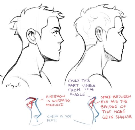 Eyes from profile Side View Drawing, Art Du Croquis, Profile Drawing, Cartoon Doodle, 얼굴 드로잉, 얼굴 그리기, Body Reference Drawing, Drawing Faces, Gambar Figur