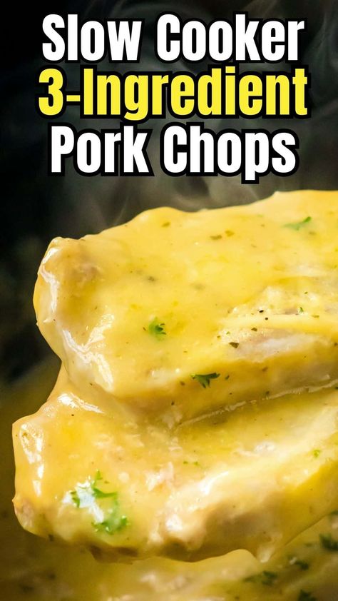 Onion Cream Sauce, Pork Chop Recipes Crockpot, Crockpot Pork Chops, Slow Cooker Pork Chops, Mapo Tofu, Slow Cooker Dinner, Crockpot Pork, Chops Recipe, Slow Cooker Pork