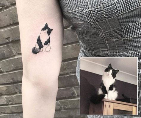 https://www.thepaws.net/cat-outline-tattoos/4/ Tattoos To Get For Your Cat, Trendy Cat Tattoo, Cute Cats Tattoo, Cat Tattoo On Arm, Real Cat Tattoo, Tattoo For Cat Lovers, Sentimental Cat Tattoos, Cat Toy Tattoo, Personal Cat Tattoo