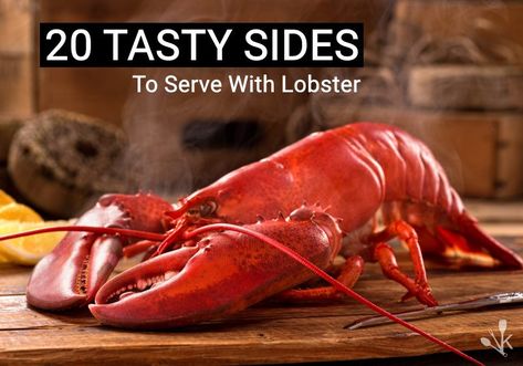 What to serve with lobster? Here are 20 ideas for wonderful side dishes to pair with your best lobster recipes including more than just lemon and garlic butter. Lobster Restaurant, Steamed Lobster, Lobster Boil, Boston Baked Beans, Live Lobster, How To Cook Liver, Pad Thai Sauce, Lobster Dinner, Fresh Lobster