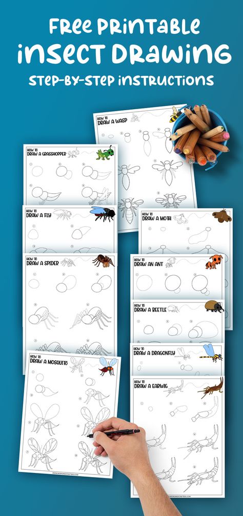 Mosquito Drawing, How To Draw Insects, Draw Insects, Insect Drawing, Bugs Drawing, Cool Erasers, Dragonfly Drawing, Fly Drawing, Spider Drawing