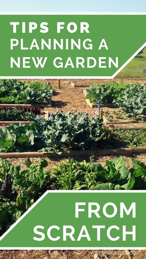 Backyard Vegetable Garden: Starting a vegetable garden is one of the most exciting things about spring! But it's not necessarily as simple buying some plants and sticking them in the ground. It helps to do some research and have a plan for what will really grow well for you. Gardening For Beginners | How To Grow | Homesteading via @youshouldgrow Backyard Vegetable Garden, Ground Garden, Gardening Services, Vegetable Garden Planner, Garden Layout Vegetable, Vegetable Garden For Beginners, Starting A Vegetable Garden, Backyard Vegetable Gardens, Organic Vegetable Garden