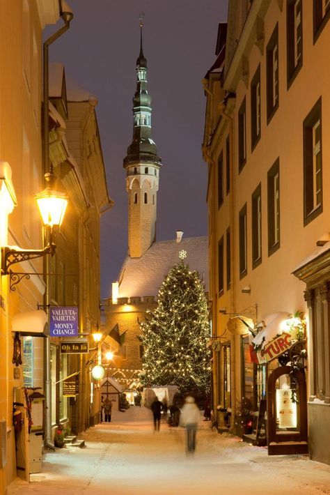 This Hidden Gem Is The Best Christmas Destination In Europe Aachen Germany, Christmas Destinations, Castle Aesthetic, Best Christmas Markets, Christmas Markets Europe, Strasbourg France, Tallinn Estonia, Christmas Markets, Winter Pictures