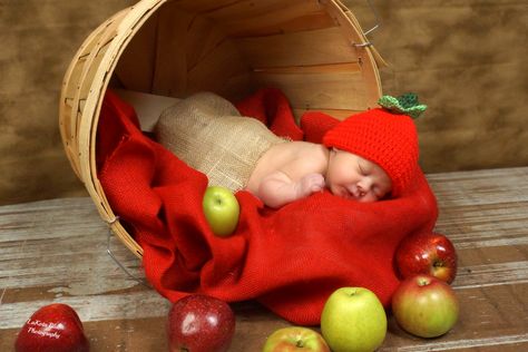 Baby Photography Newborn Apple Photoshoot, Apple Photoshoot, Fruit Photoshoot, Born Baby Photos, Fall Newborn, Apple Basket, Announcement Photos, Apple Baskets, Baby Announcement Photos