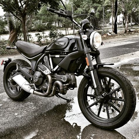 Ducati Scrambler Icon custom black with classic seat Royal Enfield Scrambler, Ducati Scrambler Icon, Custom Ducati, Scrambler Icon, Ducati Cafe Racer, Scrambler Custom, Triumph Scrambler, Motorcycle Aesthetic, Dirt Bike Girl