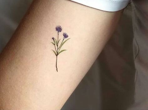 Scottish Designs Tattoo, Adding Flowers To A Tattoo, Small Thistle Tattoo Simple, Minimalist Thistle Tattoo, Dainty Thistle Tattoo, Thistle Tattoo Simple, Scotland Thistle Tattoo, Thistle Tattoo Fine Line, Tiny Thistle Tattoo