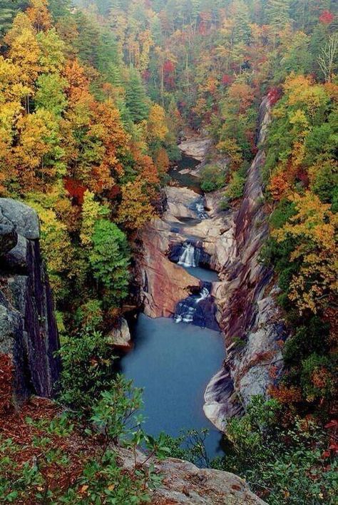 Tallulah Falls, Georgia Tallulah Gorge, Gorges State Park, Matka Natura, फोटोग्राफी 101, Trip Planner, Alam Yang Indah, Pretty Places, Fall Foliage, In The Fall