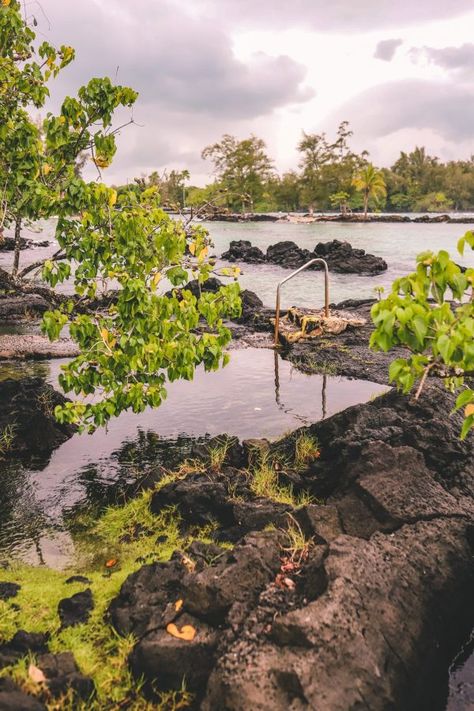 Carlsmith Beach Park, Hawaii Rainforest, What To Do In Hilo Hawaii, Hawaii Family Vacation, Kailua Kona Hawaii, Hawaii Activities, Big Island Travel, Hawaii Trip Planning, Polynesian Islands