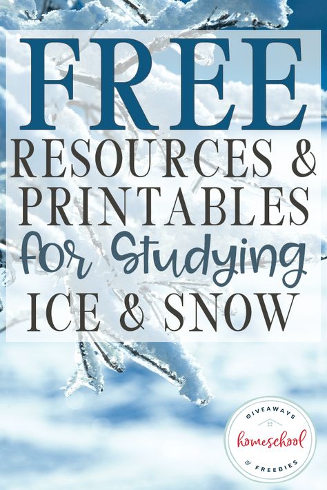 Whether your kids have seen the new Frozen 2 movie or you're waiting for it to come out on disk, they will love learning more about the ice and snow with these FREE printables, science experiments and more! #snowscience #scienceofice #winterstudy #hsgiveaways Snow Unit Study, Snow Building, Weather Unit Study, Elf Classroom, Homeschool Nook, Water Study, Winter Science Activities, Winter Science Experiments, Teaching Place Values